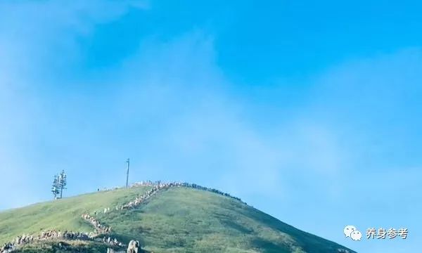 补硒增加患糖尿病风险（补硒能治糖尿病吗）-硒宝网