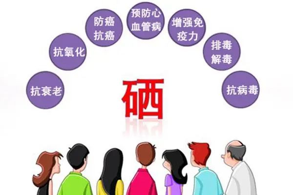 补硒增加患糖尿病风险(补硒对糖尿病有什么好处)-硒宝网