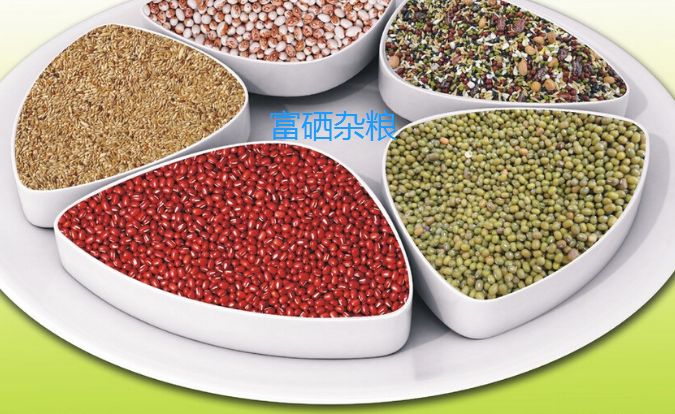 坚持补硒的营养学专家（国家营养膳食补硒）-硒宝网