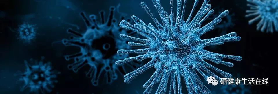 坚持补硒的营养学专家（国家营养膳食补硒）-硒宝网