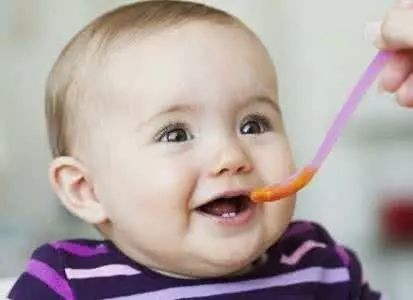 吃猪血补铁吗(猪血可以补铁)-硒宝网