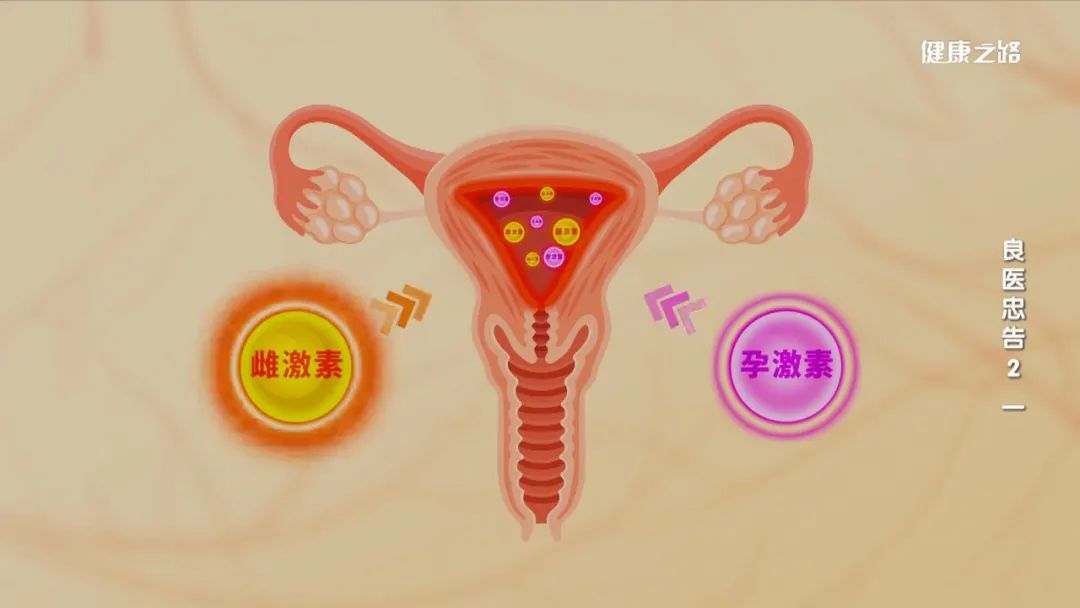 子宫内膜癌需要补硒吗（子宫内膜癌补充治疗）-硒宝网