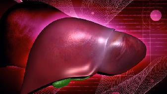 睾丸萎缩补硒吗有用吗（睾丸萎缩吃什么好）-硒宝网