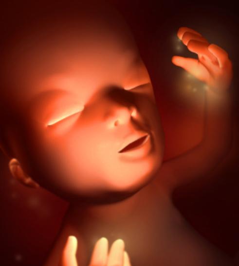 孕妇补铁的好处(孕妇补铁对孩子有什么好处)-硒宝网