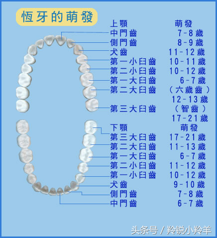 一颗心补钙(补钙心跳加快)-硒宝网