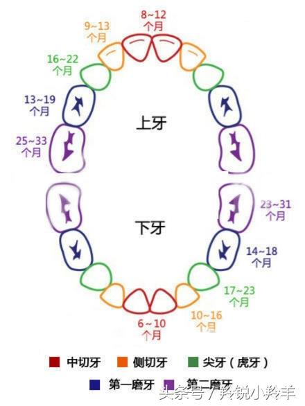 一颗心补钙(补钙心跳加快)-硒宝网