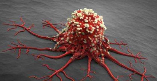 痔疮病补硒有没有效果(痔疮要补充哪种维生素)-硒宝网