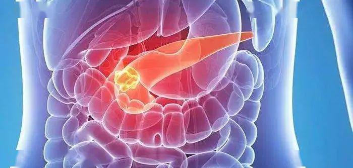 胰腺癌患者需要补硒吗（胰腺癌可以补硒吗）-硒宝网