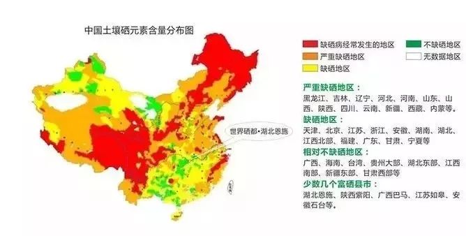 正常人可以补硒酵母吗(硒酵母片可以补硒吗)-硒宝网