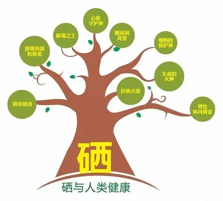 什么样的身体需要补硒(需要补硒的人群)-硒宝网