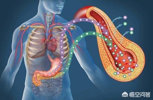 血糖高的人可以补硒吗（硒对血糖高的作用）-硒宝网