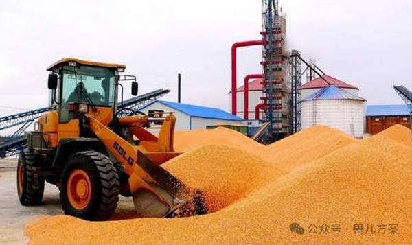 补硒可以预防宫颈炎吗(补硒对宫颈炎有好处吗)-硒宝网