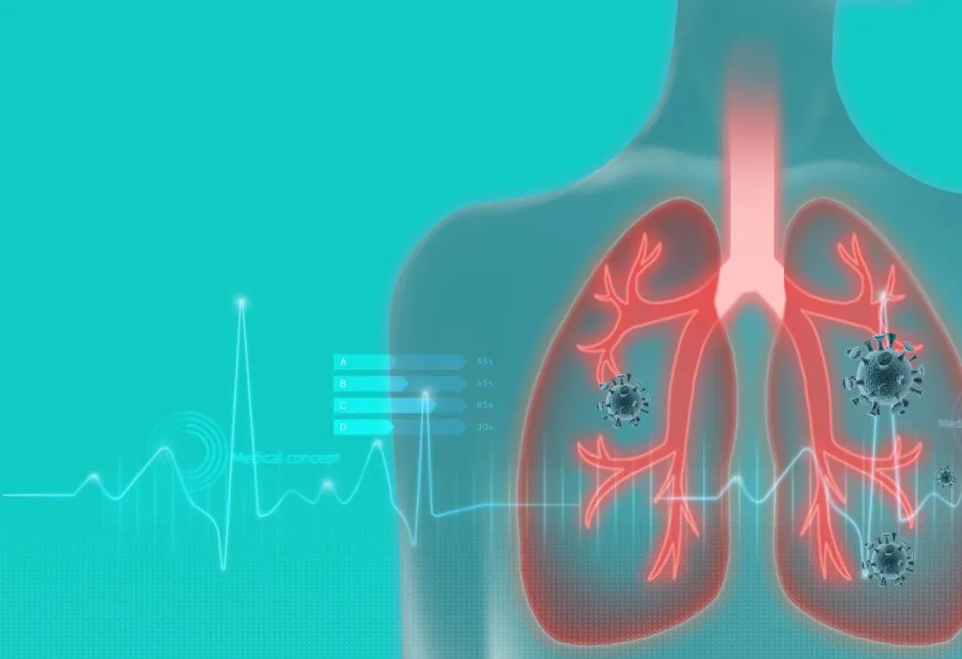 补硒抗癌水果有哪几种(补硒的水果蔬菜)-硒宝网