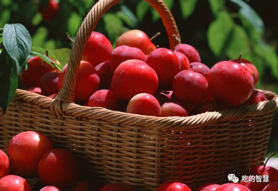 补硒抗癌水果有哪几种（水果抗癌补种硒有效果吗）-硒宝网