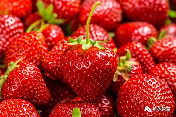 补硒抗癌水果有哪几种（水果抗癌补种硒有效果吗）-硒宝网