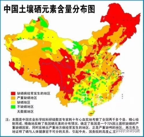 什么菜是补硒的蔬菜呢(蔬菜硒含量标准)-硒宝网