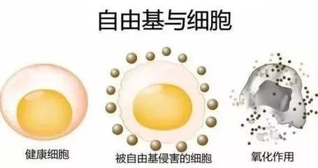 补硒会引起红斑狼疮不（红斑狼疮可以吃硒酵母吗）-硒宝网