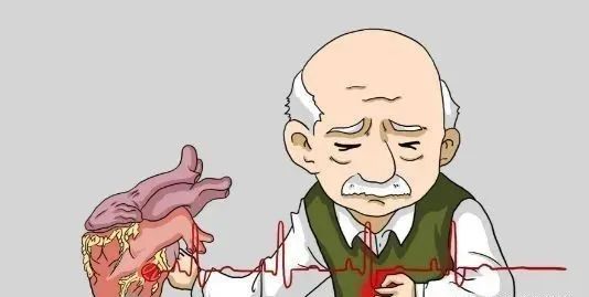 心脑血管疾病能补硒吗(硒心脑血管)-硒宝网