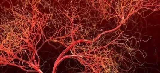 心脑血管疾病能补硒吗(硒心脑血管)-硒宝网