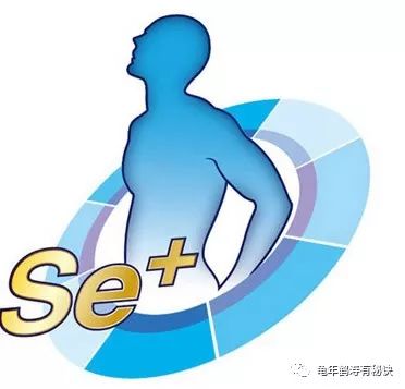 前列腺癌如何补硒治疗(前列腺癌吃硒片有用吗)-硒宝网