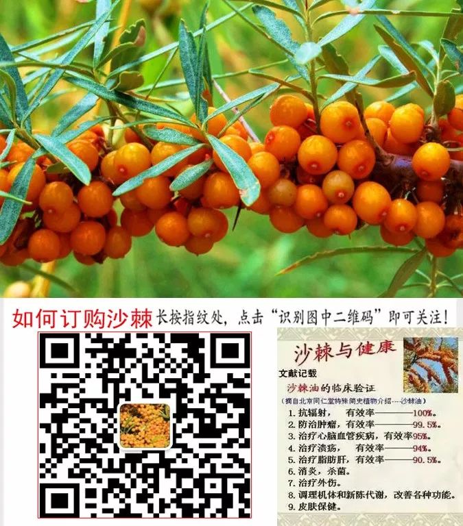 心脑血管疾病能补硒吗(硒心血管)-硒宝网