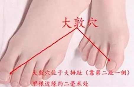 一天补多少硒元素最好(硒元素每天补多少合适)-硒宝网