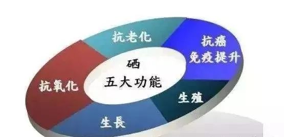 科学补硒的重点是什么(科学补硒的作用)-硒宝网