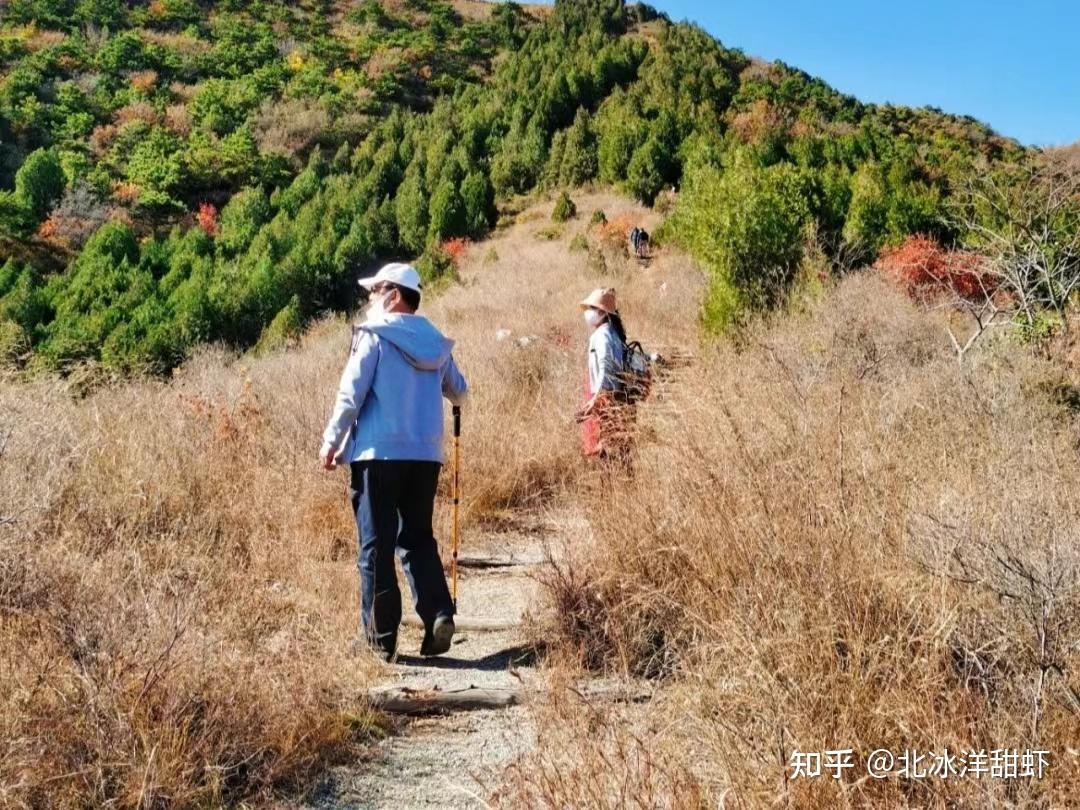 氨糖可以补钙吗(补钙氨糖软骨素好还是钙片好)-硒宝网