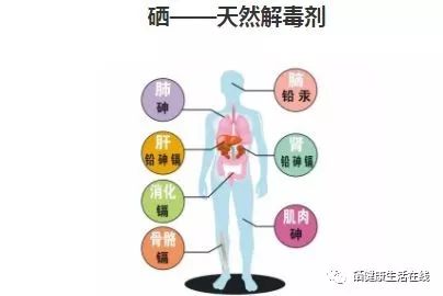 老年人补硒骗局有哪些（老年人买硒）-硒宝网
