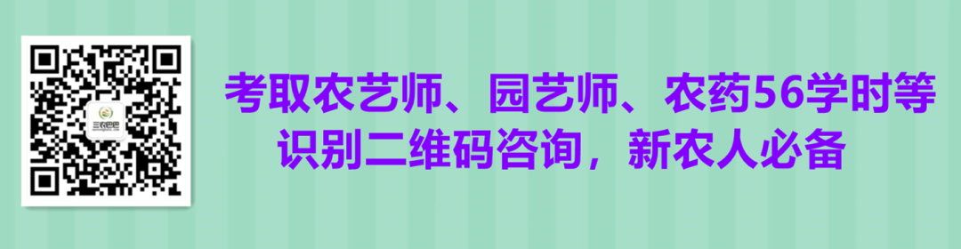 冬枣补铁吗（冬枣补铁还是红枣补铁）-硒宝网