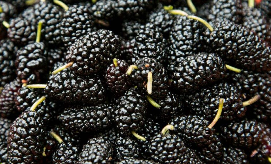 补硒掉发多少天能恢复（补硒脱发是什么原因引起的）-硒宝网