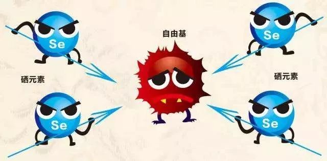 人体不吸收能不能补硒(硒吸收)-硒宝网