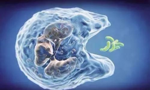 人体不吸收能不能补硒(硒吸收)-硒宝网