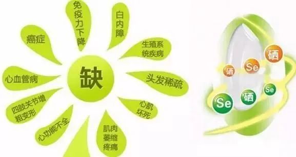 最好的补硒产品多少钱(最好的补硒产品硒价格)-硒宝网