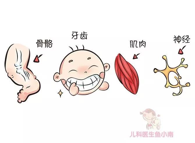 几个月的宝宝需要补钙(宝宝补钙要补到几个月)-硒宝网