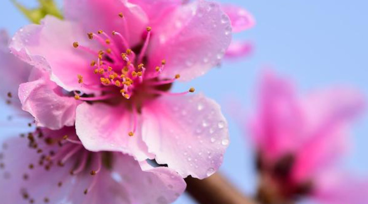 微量元素用空腹吗（空腹微量元素用什么检查）-硒宝网