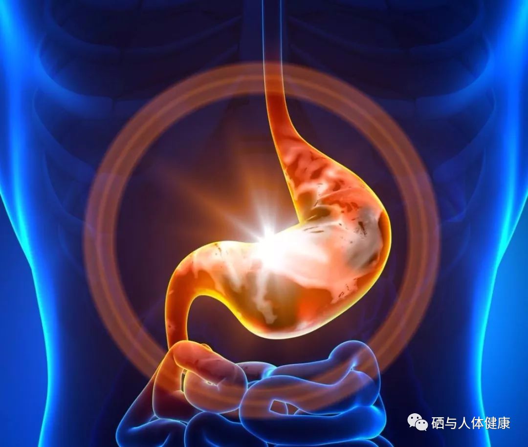 萎缩性胃炎可以补硒吗（萎缩性胃炎能吃补药吗）-硒宝网