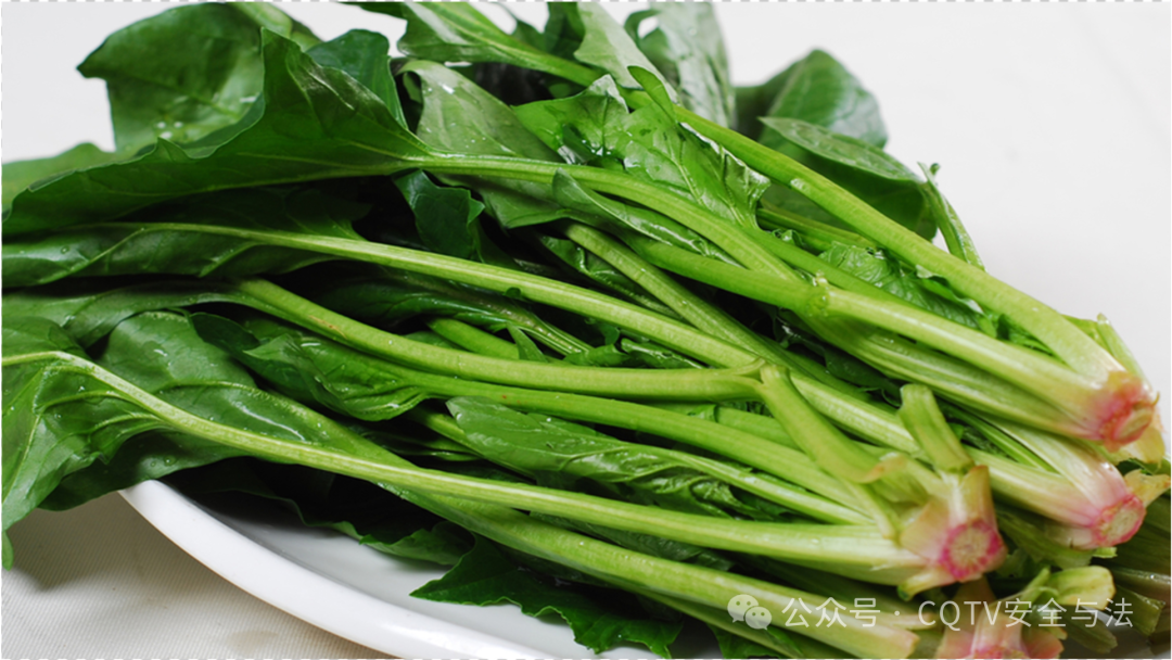 补钙钙片哪种最好(钙片好还是钙剂好)-硒宝网