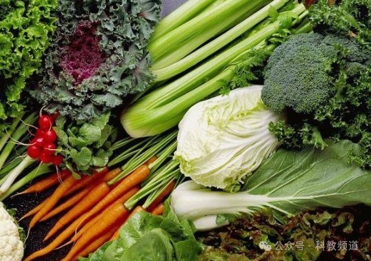 中老年吃什么钙片补钙效果最好(中老年吃钙片有什么作用)-硒宝网