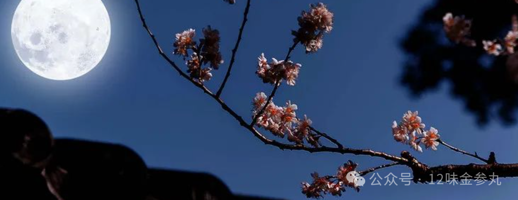 吃什么东西补硒便宜好(补硒食补)-硒宝网