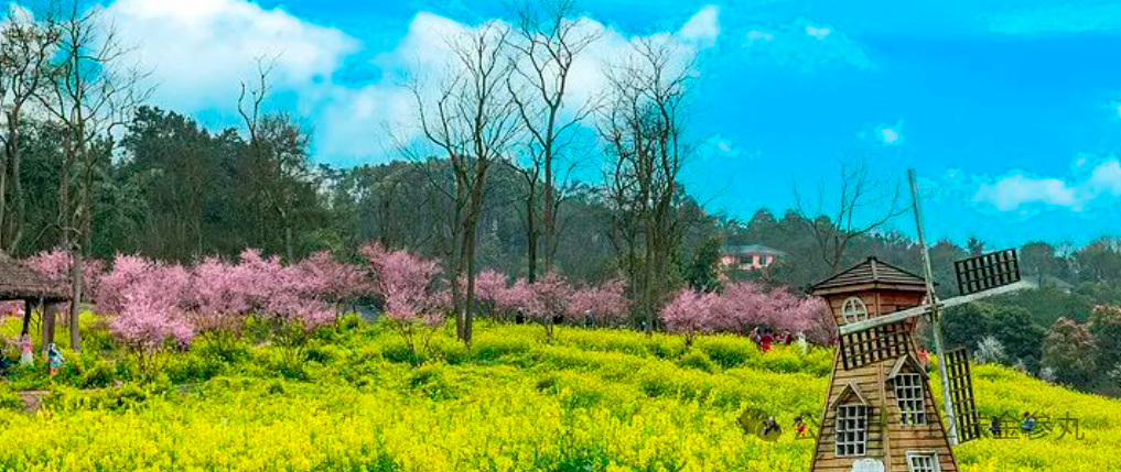 吃什么东西补硒便宜好(补硒食补)-硒宝网