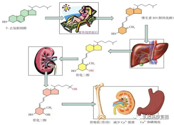 补硒有药片吗怎么吃的(吃补硒药有什么副作用)-硒宝网