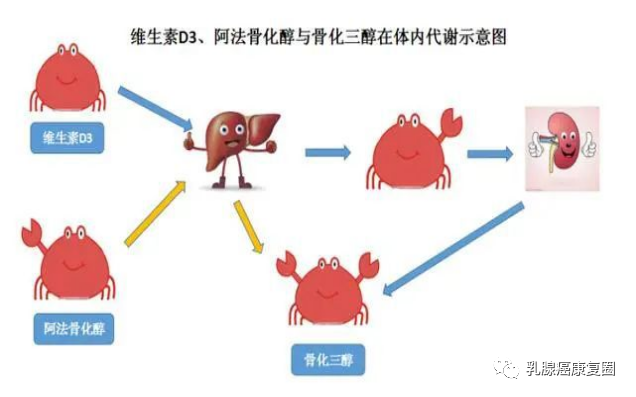 补硒有药片吗怎么吃的(吃补硒药有什么副作用)-硒宝网