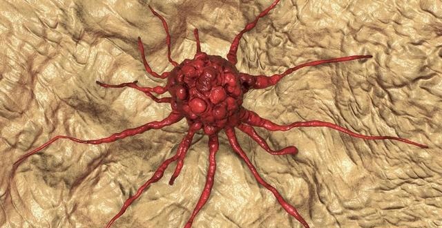 硒是微量元素吗(微量元素硒是干什么用的)-硒宝网