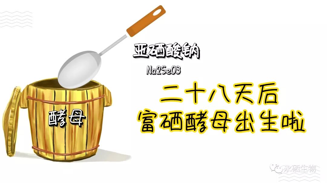 羊补硒和钠用什么食物（给羊补硒用什么药）-硒宝网