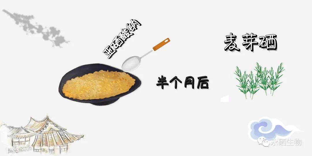 羊补硒和钠用什么食物（给羊补硒用什么药）-硒宝网