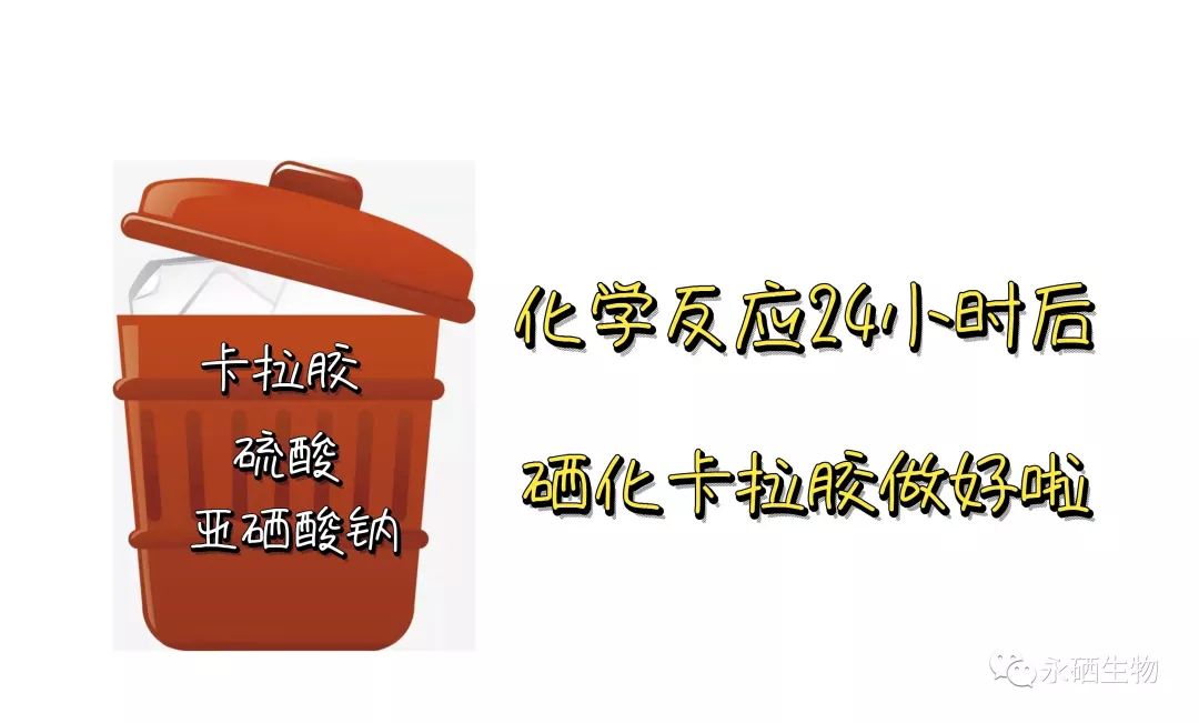 羊补硒和钠用什么食物（给羊补硒用什么药）-硒宝网