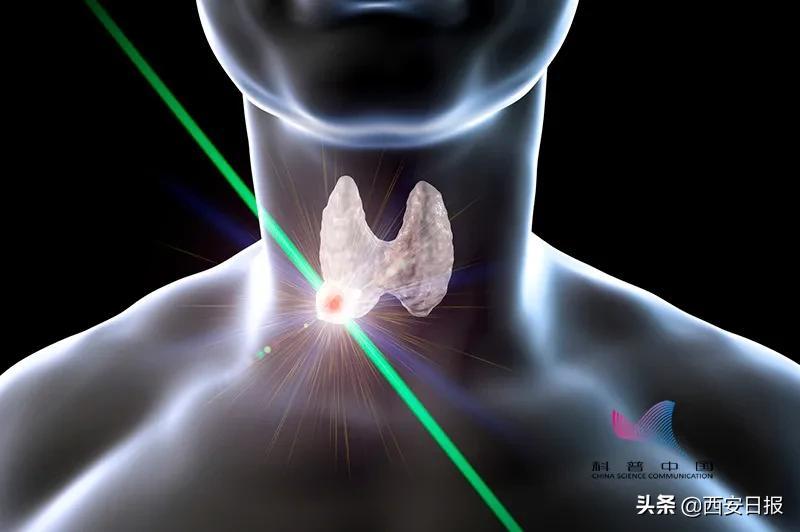 心律失常补硒有效果吗(心律失常建议补充哪种元素)-硒宝网