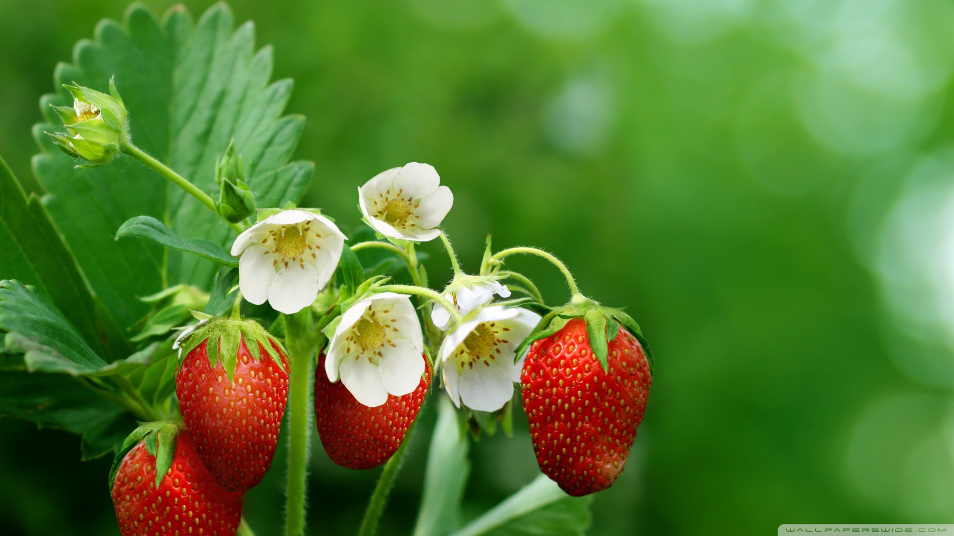 肿瘤晚期补硒还有用吗(肿瘤晚期补硒用什么药好)-硒宝网