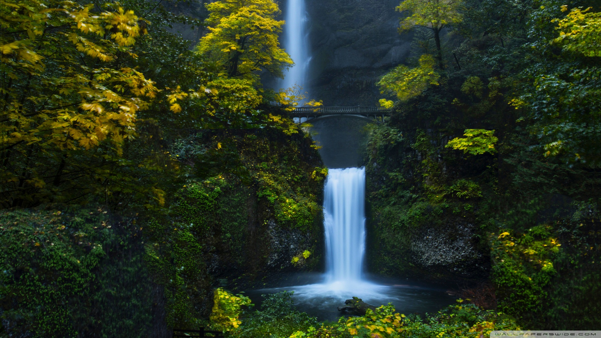 肿瘤晚期补硒还有用吗(肿瘤晚期补硒用什么药好)-硒宝网